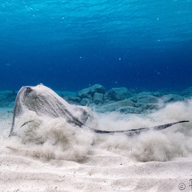 Cayman Brac